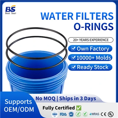 Cincin O-Rumah Filter Air